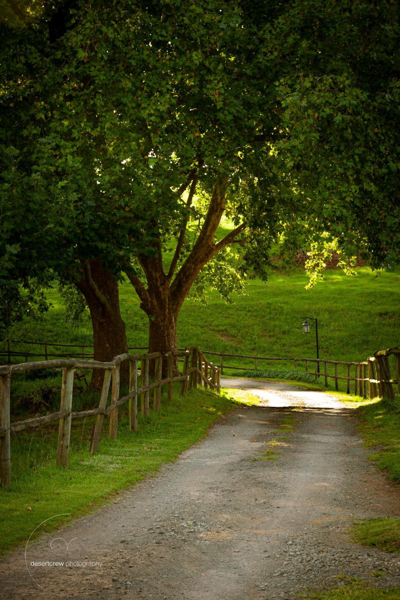 Newstead Farm - Country Cottages Curryʼs Post Exteriör bild